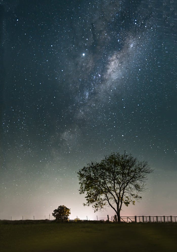 Capture of the Milky Way galaxy illuminating the night sky above a tree in El Chorro, Uruguay.